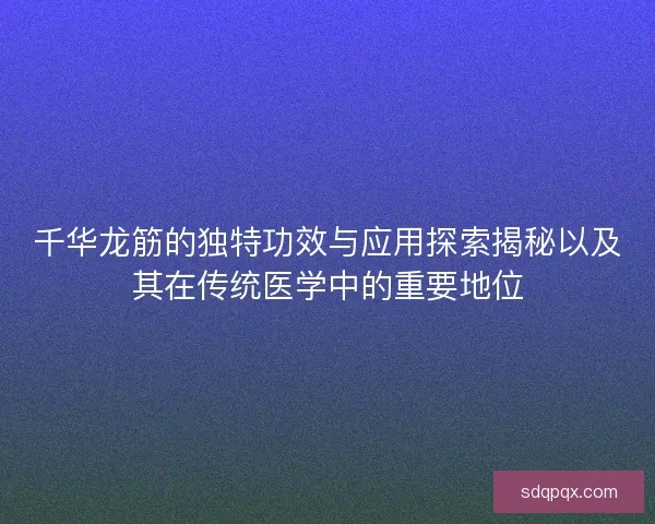 千华龙筋的独特功效与应用探索揭秘以及其在传统医学中的重要地位