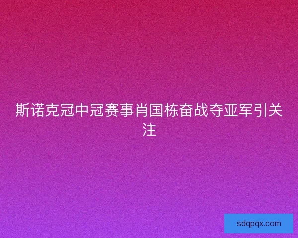 斯诺克冠中冠赛事肖国栋奋战夺亚军引关注