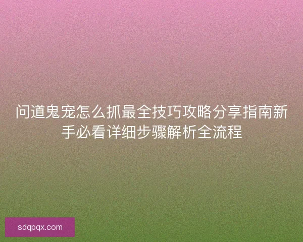 问道鬼宠怎么抓最全技巧攻略分享指南新手必看详细步骤解析全流程