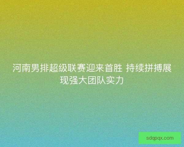 河南男排超级联赛迎来首胜 持续拼搏展现强大团队实力 河南男排超级联赛迎来首胜 持续拼搏展现强大团队实力