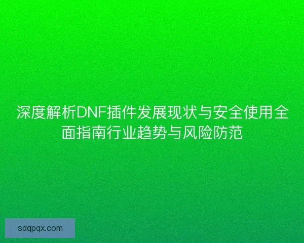 深度解析DNF插件发展现状与安全使用全面指南行业趋势与风险防范